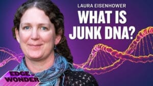 What is Ascension, Divine Feminine, & Breaking Dark Force's Grip - Laura Eisenhower [Part 1]