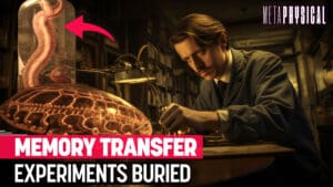 Memory Transfer Experiments Were Buried, Data Used by Defense Agencies