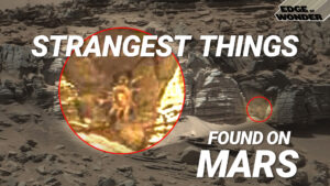 Strangest Things Found on Mars as NASA Confirms Life on Red Planet
